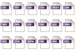 Convert a WordPerfect file into a Microsoft Word document