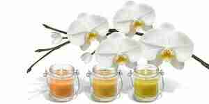 Make your own fragrance oils: body oil