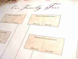creating a family tree