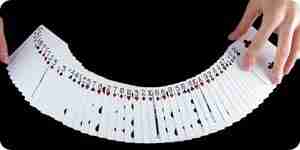Play Pinochle