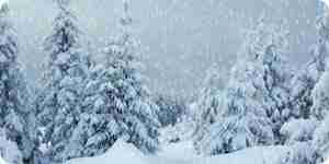 Find Christmas Snow Scenes