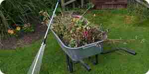 Caring for a Lawn: Watering, Mowing, Weed Control, Fertilizers
