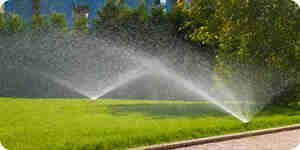 Choosing Lawn Sprinkler Systems: Automatic Watering System