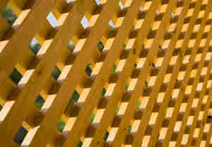 Build a Garden Trellis