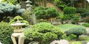 Grow a Moss Garden: Landscaping Ideas