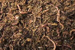 Make a Compost Bin: Homemade Compost Bins