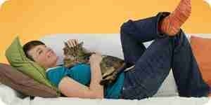 Owning a cat Owning a cat