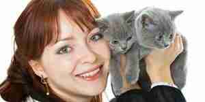 Kitten Training and Information for Baby Kittens and Pet Cats