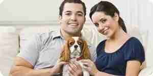 Choosing a Dog for an Apartment: Pick a Dog Breed