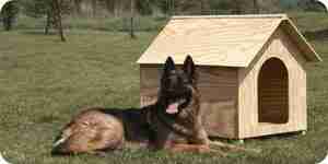 Make a dog house: wooden dog house