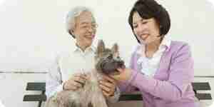 Japanese Dog Names and Their Meanings