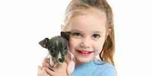 Male vs. Female Dogs: A Guide to Dog Behavior